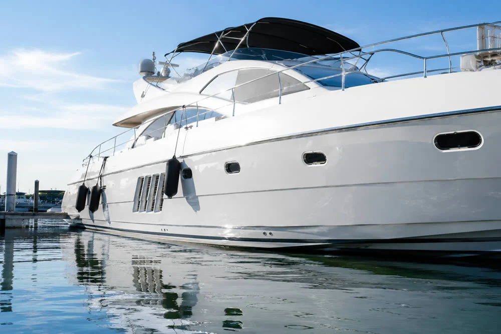 Gecko brands marine