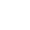 gecko icon