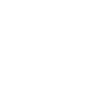 gecko icon